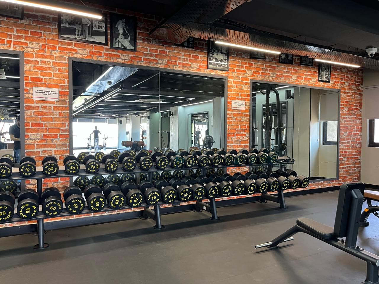 Gold Gym — detail 1