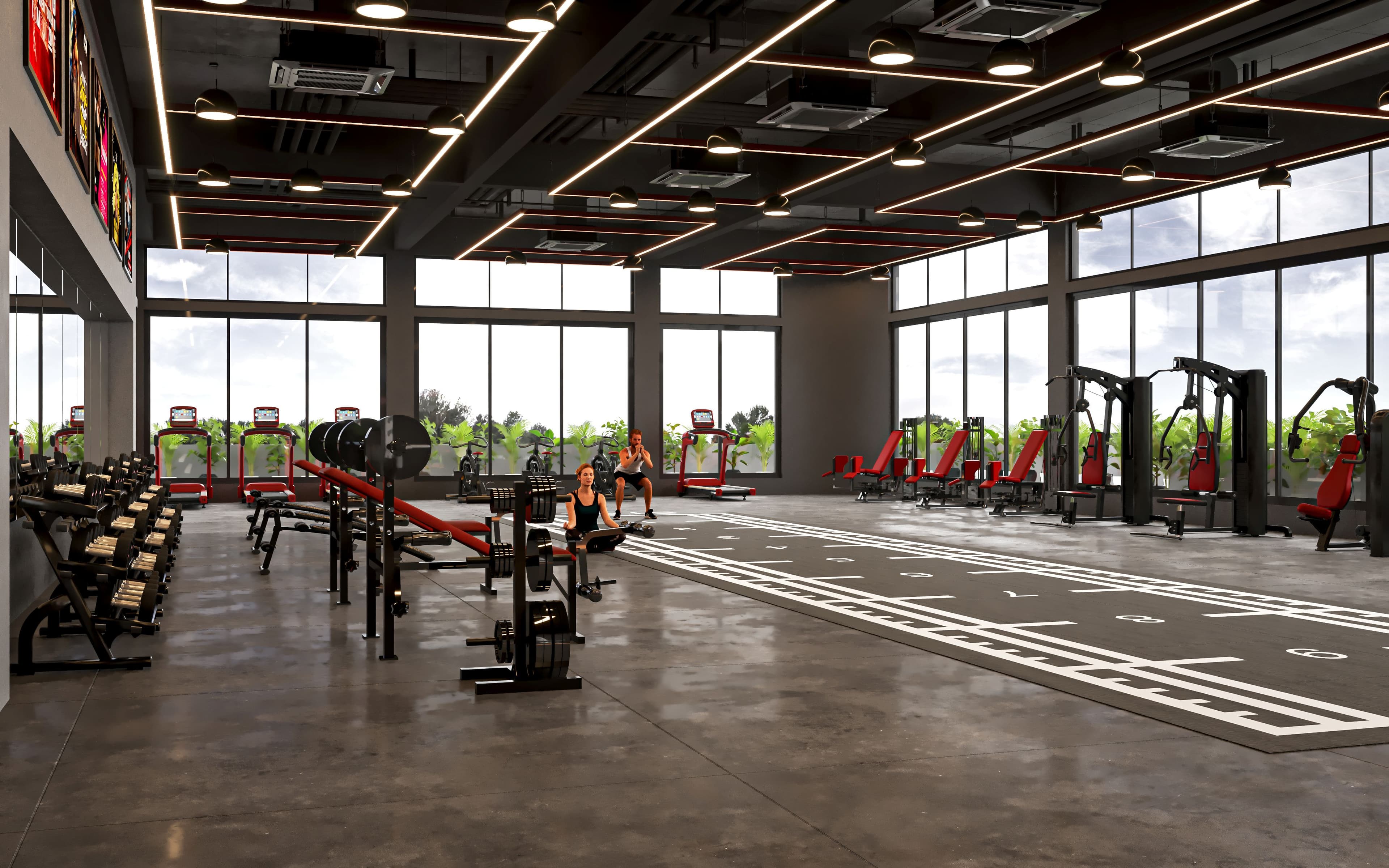 Fbd Gym